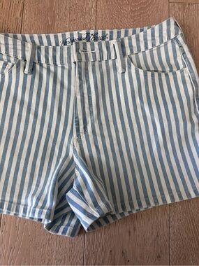 Universal Thread Blue and White Vertical Stripe Men's Shorts